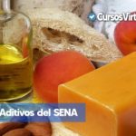 curso de aditivos sena virtual