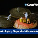 seguridad alimentaria sena virtual